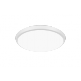 Ceiling-OYSTER LIGHT-LOY